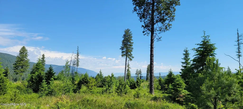 Nna Falcon Ridge Dr Tract 6 Bonners Ferry ID 83805
