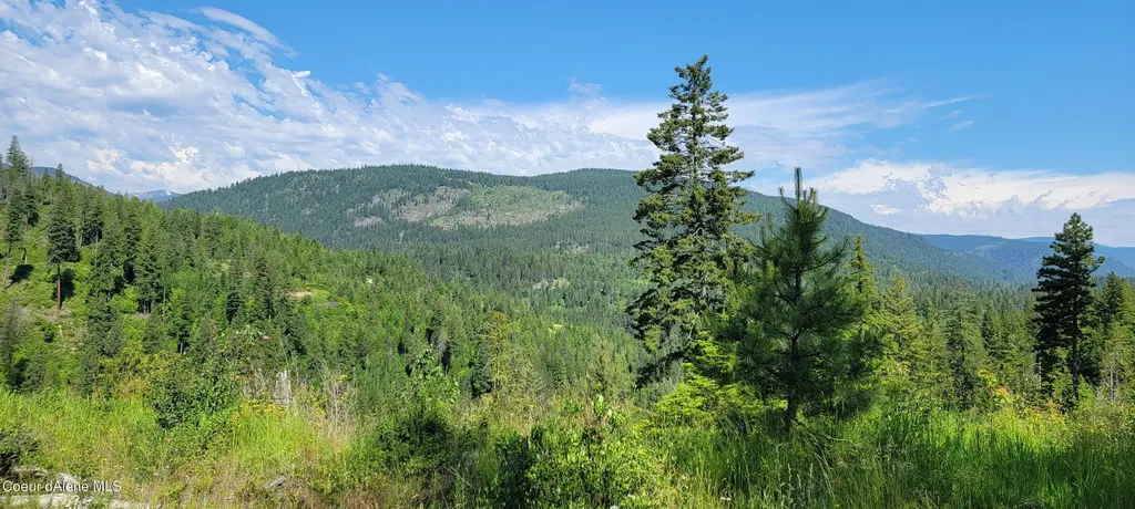 Nna Falcon Ridge Dr Tract 6 Bonners Ferry ID 83805