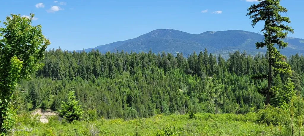 Nna Falcon Ridge Dr Tract 6 Bonners Ferry ID 83805