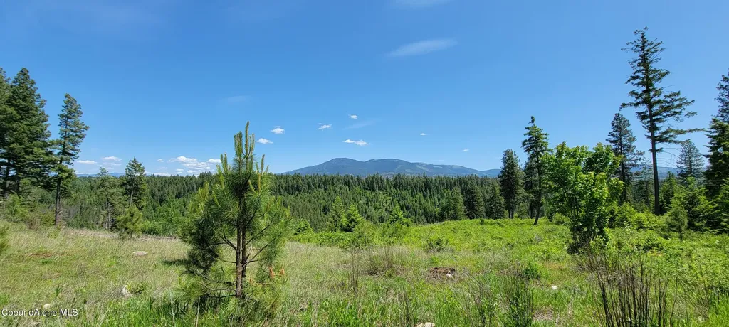 Nna Falcon Ridge Dr Tract 6 Bonners Ferry ID 83805