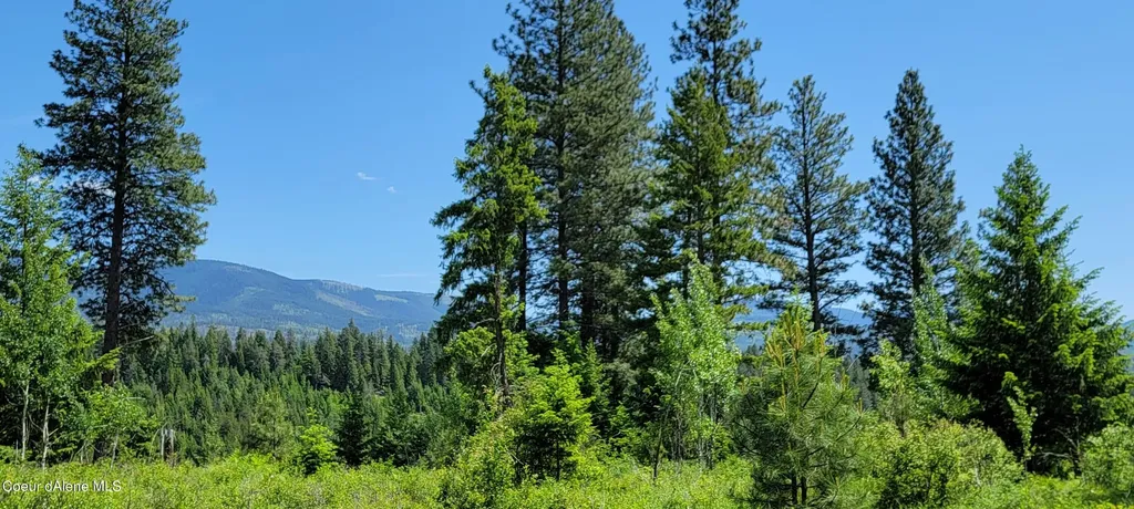 Nna Falcon Ridge Dr Tract 6 Bonners Ferry ID 83805