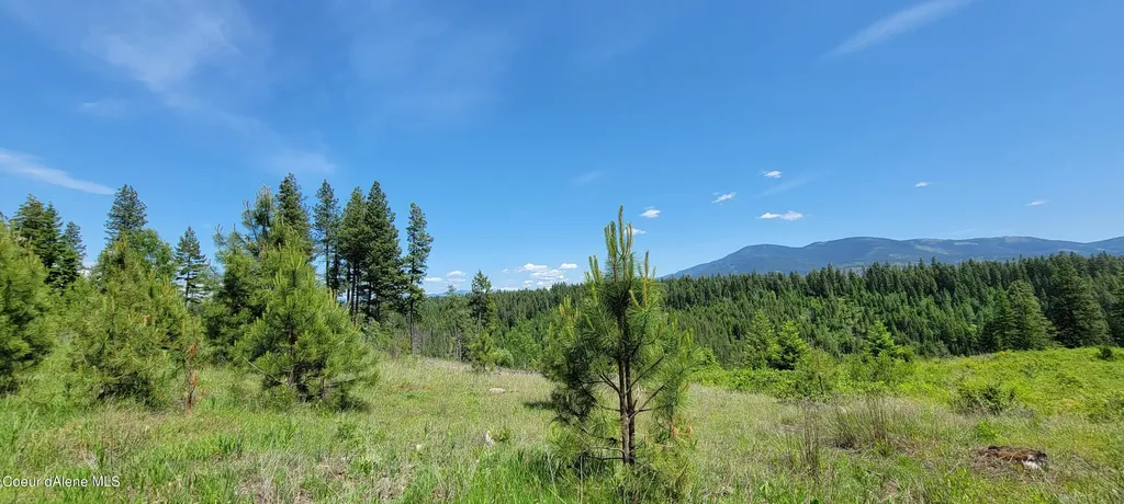 Nna Falcon Ridge Dr Tract 6 Bonners Ferry ID 83805
