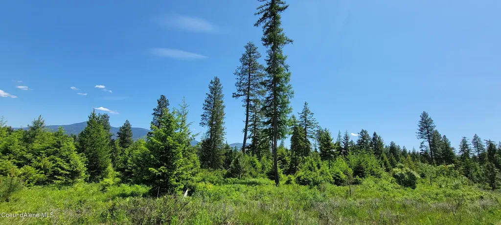 Nna Falcon Ridge Dr Tract 6 Bonners Ferry ID 83805