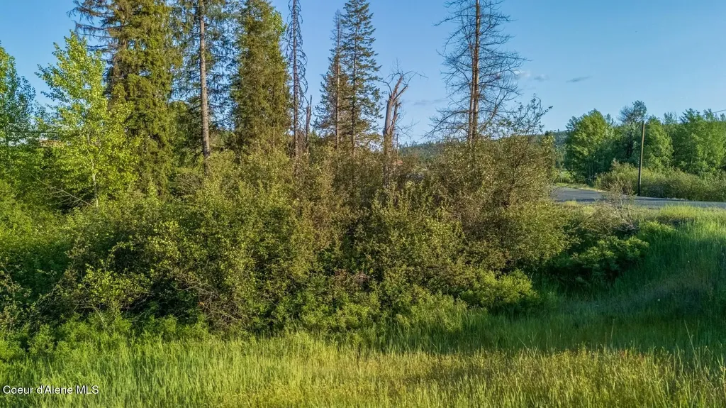 63941 State Highway 3 Fernwood ID 83830