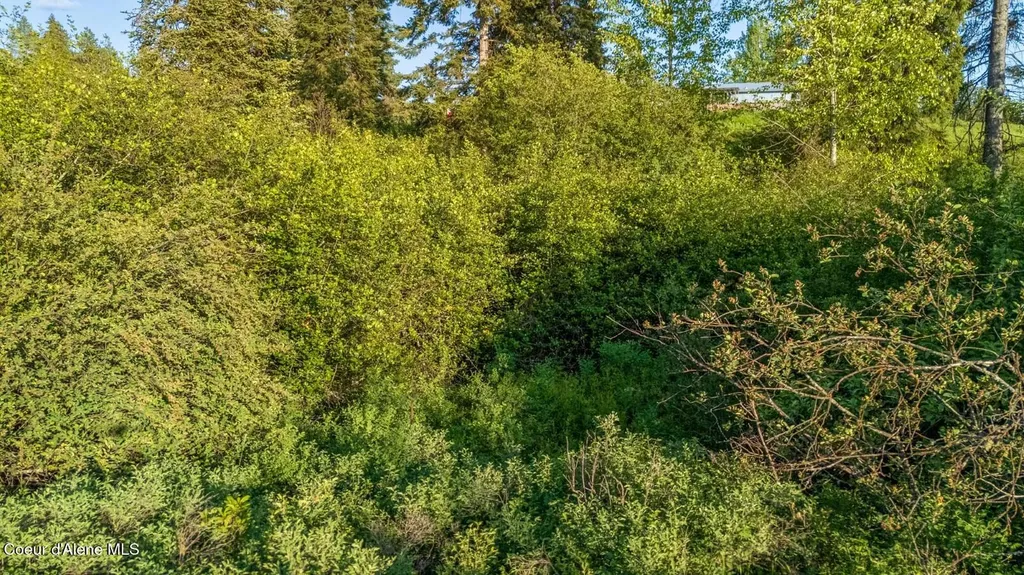 63941 State Highway 3 Fernwood ID 83830