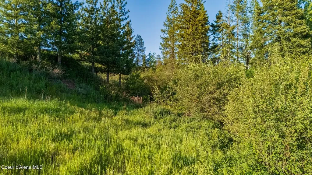 63941 State Highway 3 Fernwood ID 83830
