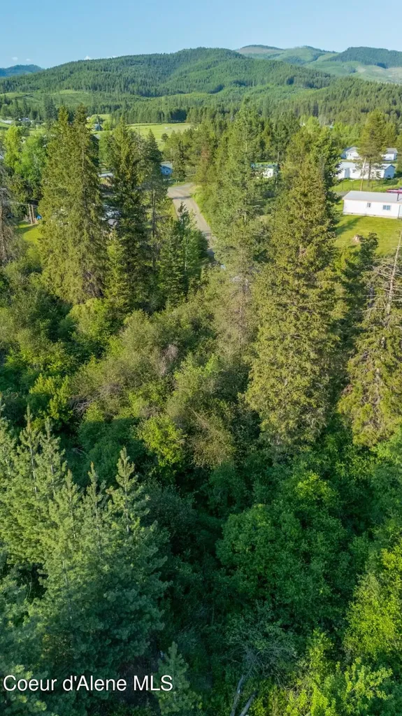 63941 State Highway 3 Fernwood ID 83830