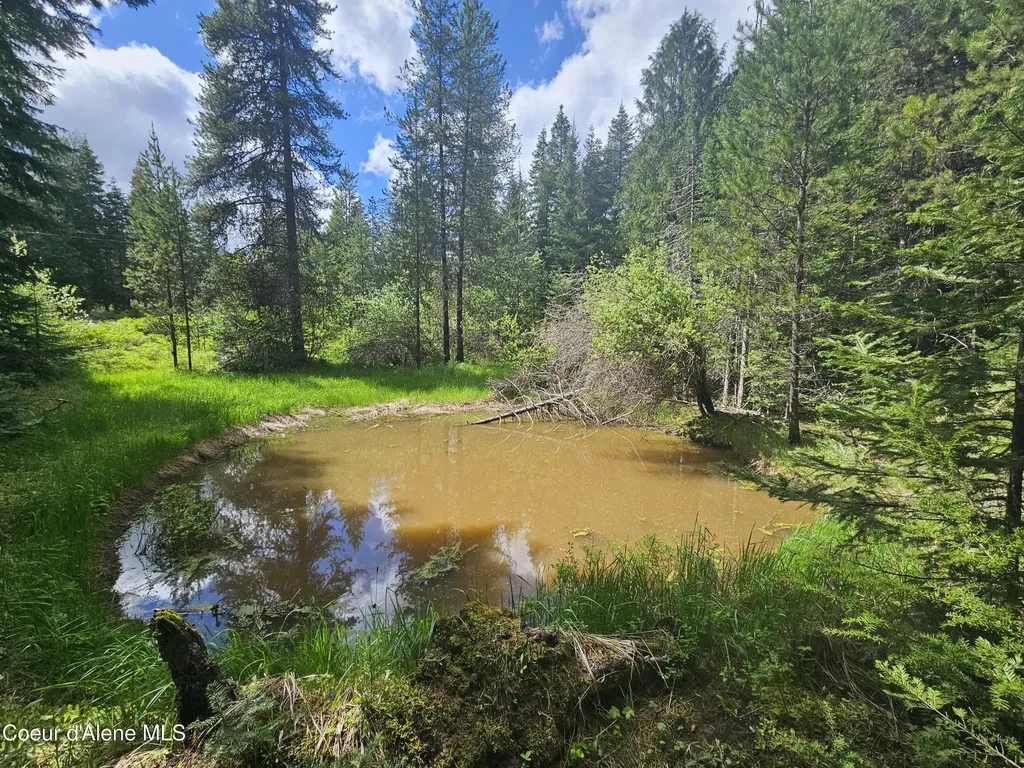 Nka Little Carpenter Creek Road Fernwood ID 83830