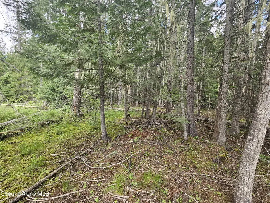 Nka Little Carpenter Creek Road Fernwood ID 83830
