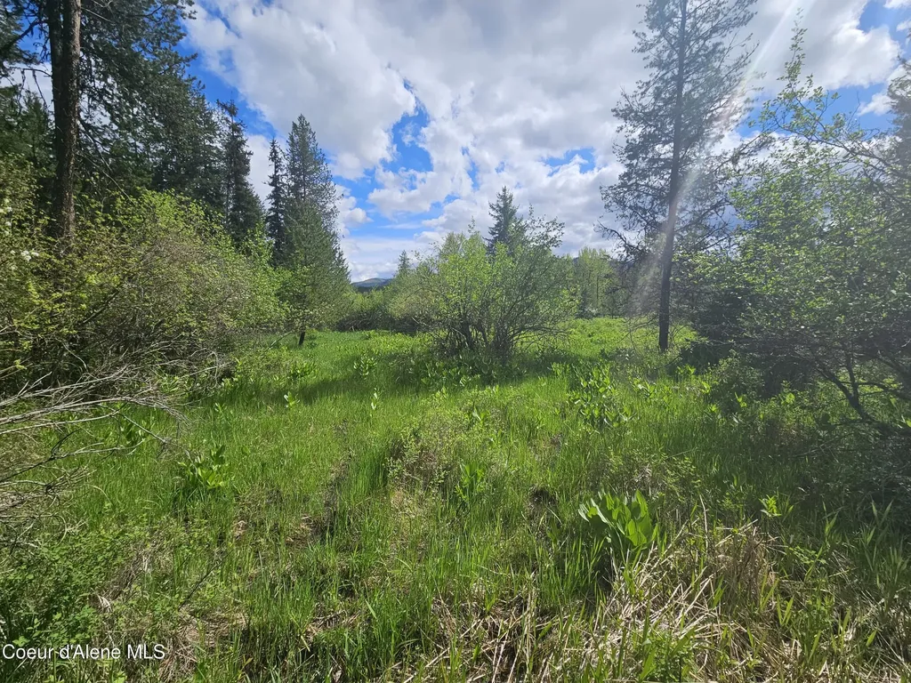 Nka Little Carpenter Creek Road Fernwood ID 83830