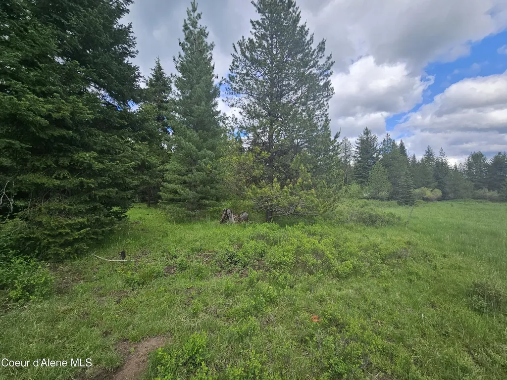 Nka Little Carpenter Creek Road Fernwood ID 83830