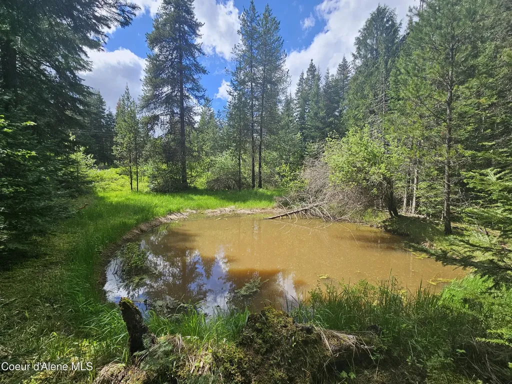 Nka Little Carpenter Creek Road Fernwood ID 83830