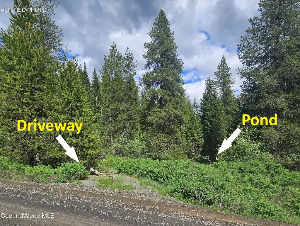 Nka Little Carpenter Creek Road Fernwood ID 83830