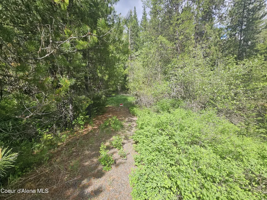 Nka Little Carpenter Creek Road Fernwood ID 83830