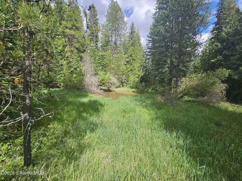 Nka Little Carpenter Creek Road Fernwood ID 83830