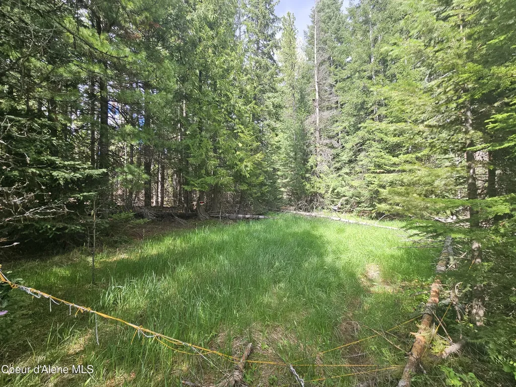 Nka Little Carpenter Creek Road Fernwood ID 83830