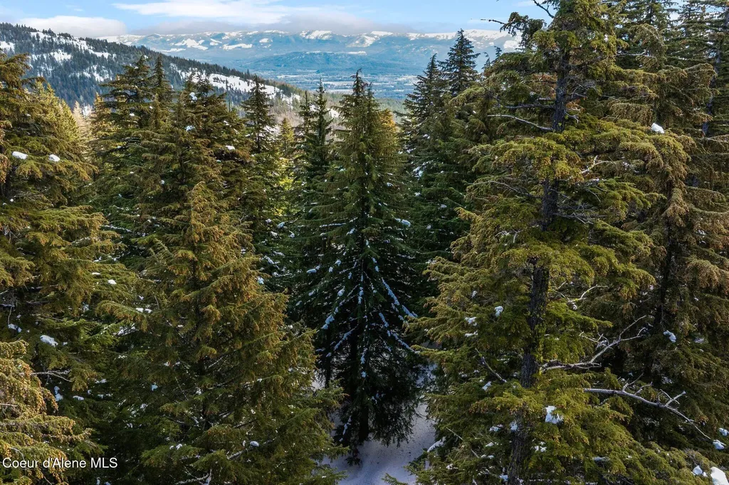 Nna Ullr Drive Sandpoint ID 83864