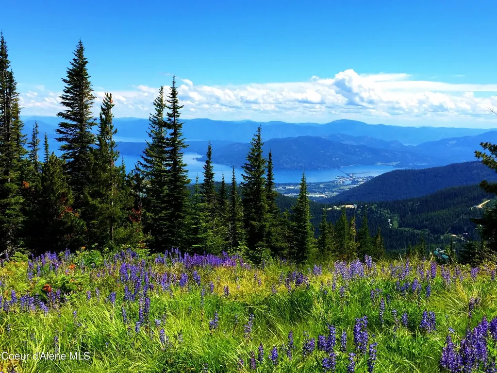 Nna Crystal Springs Road Sandpoint ID 83864
