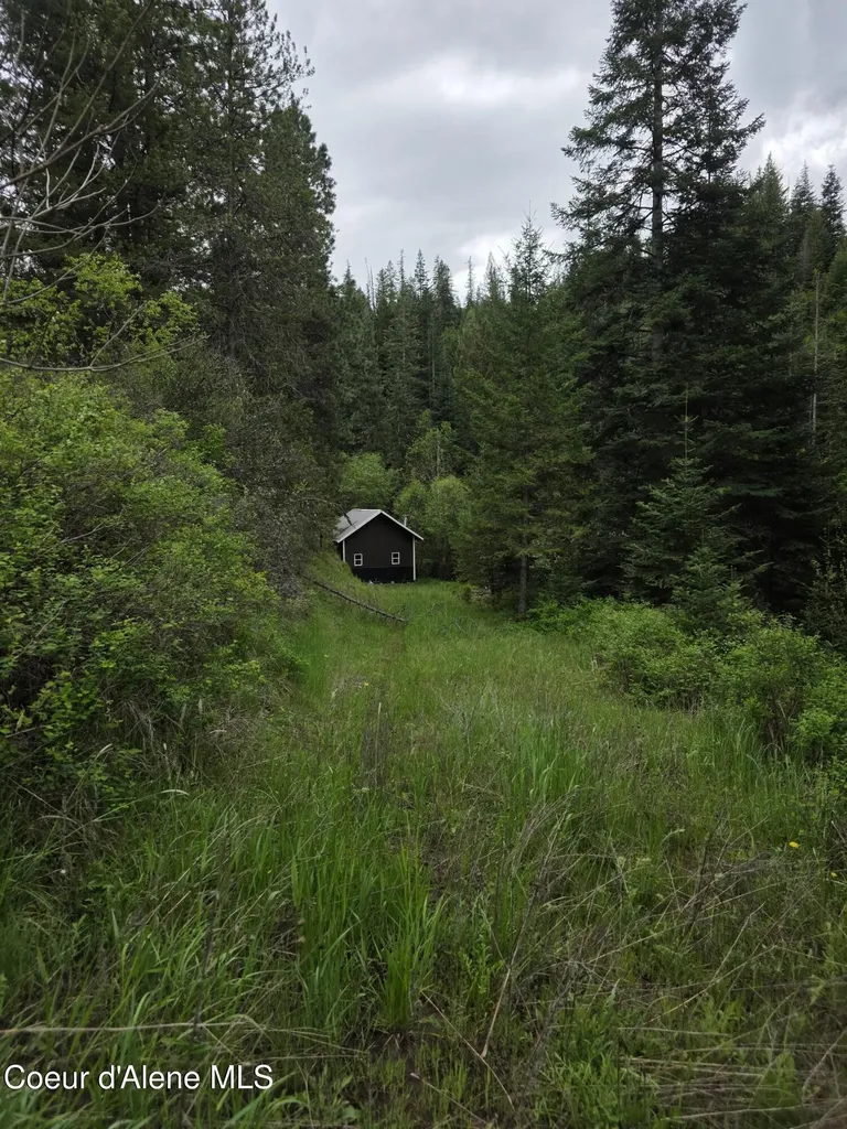 727 Blake Creek Road St. Maries ID 83861