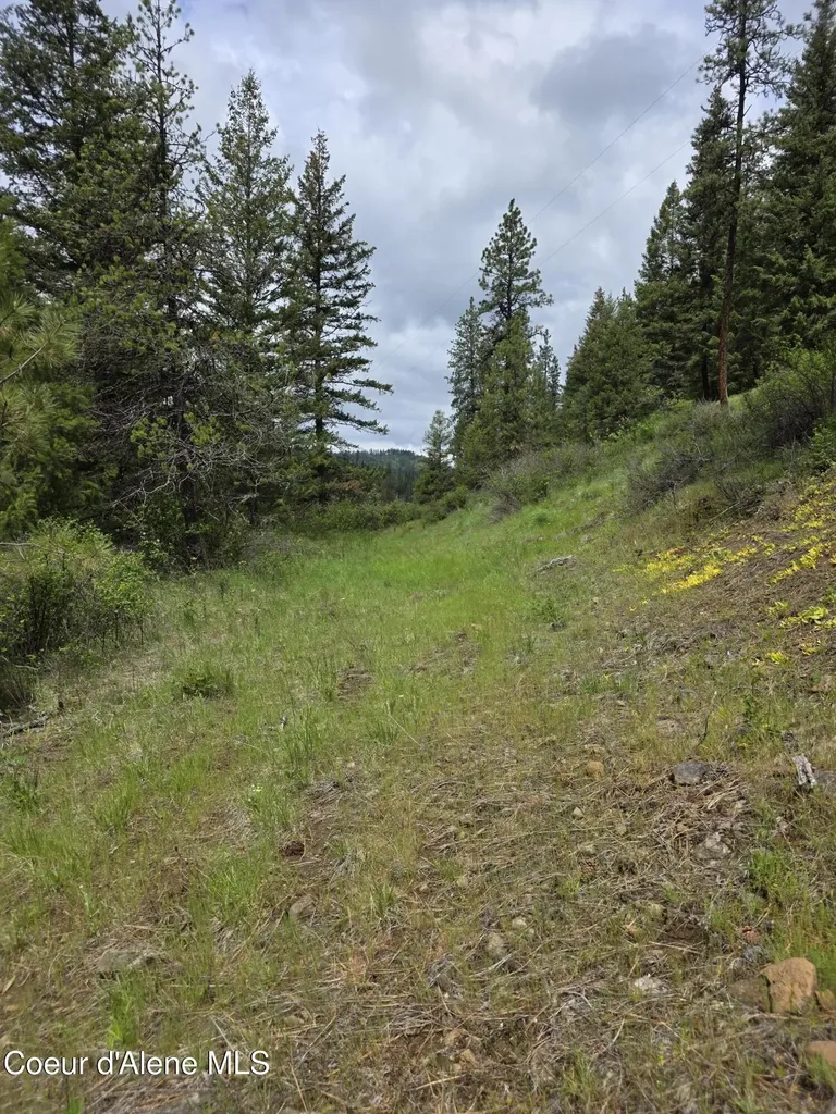 727 Blake Creek Road St. Maries ID 83861