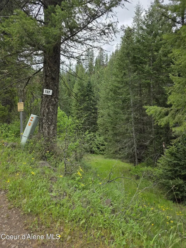 727 Blake Creek Road St. Maries ID 83861