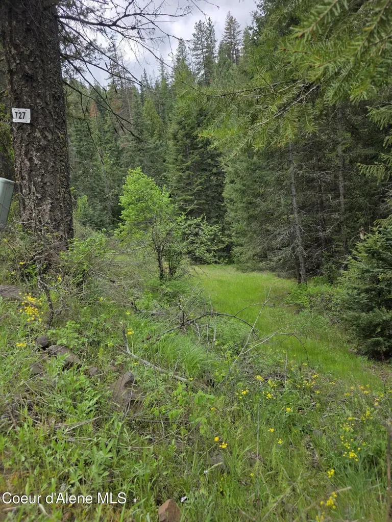 727 Blake Creek Road St. Maries ID 83861