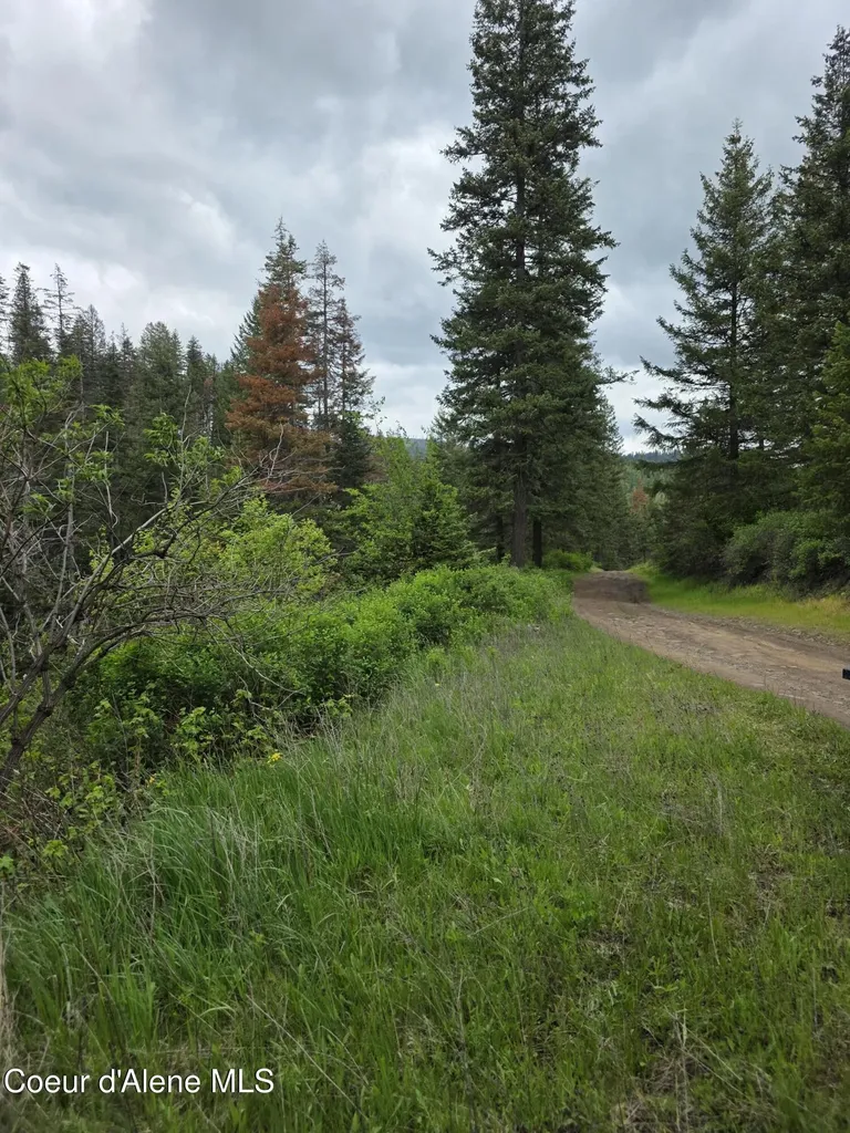 727 Blake Creek Road St. Maries ID 83861