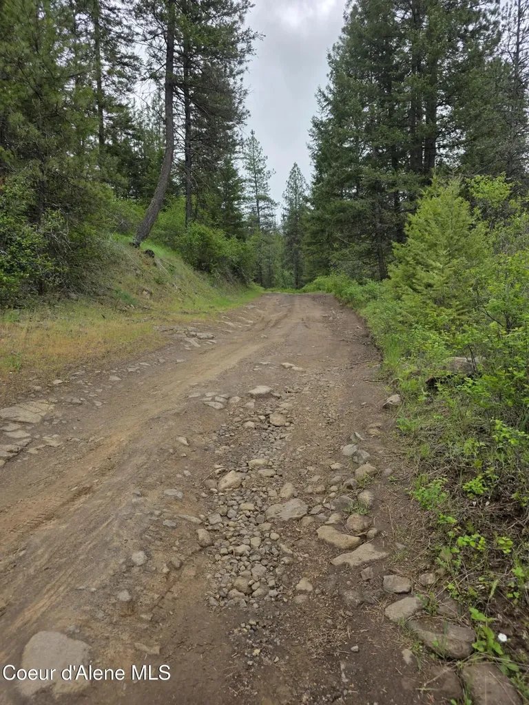 727 Blake Creek Road St. Maries ID 83861