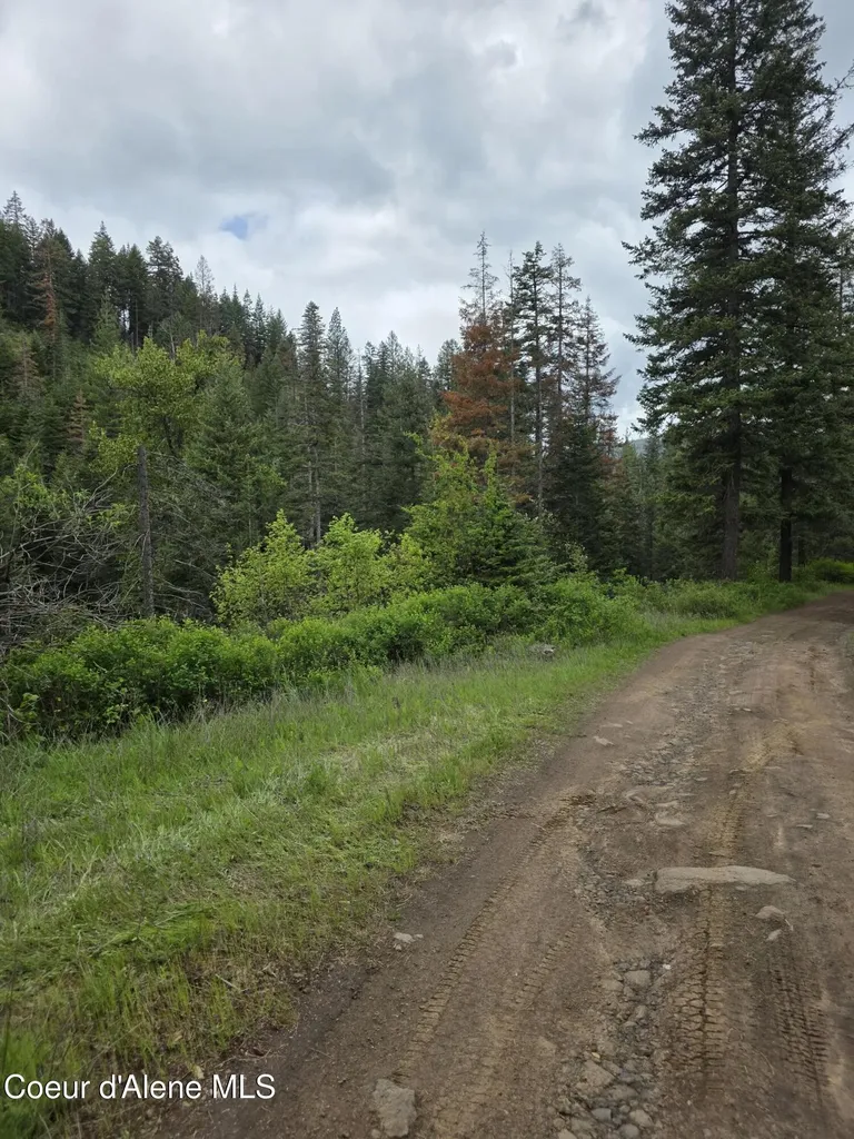 727 Blake Creek Road St. Maries ID 83861