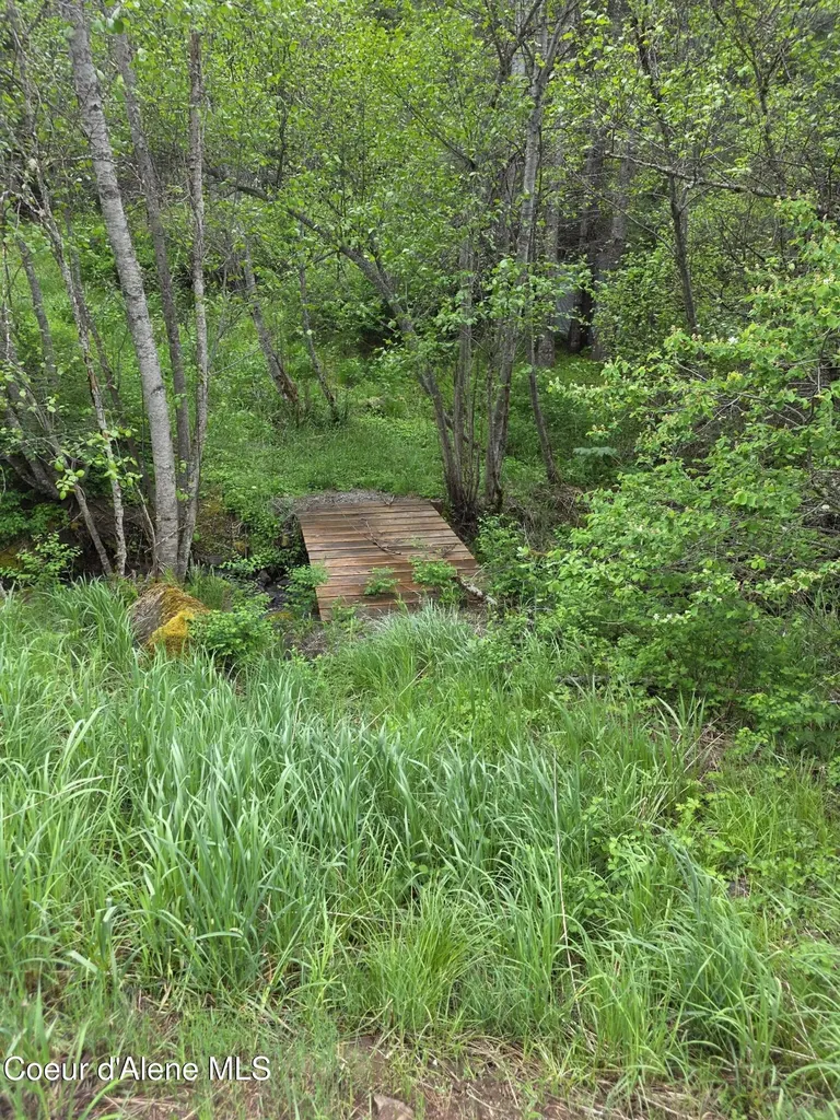 727 Blake Creek Road St. Maries ID 83861
