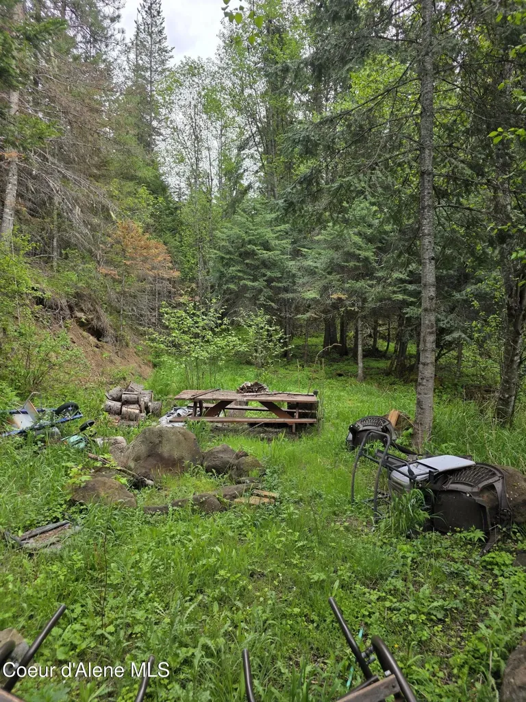 727 Blake Creek Road St. Maries ID 83861