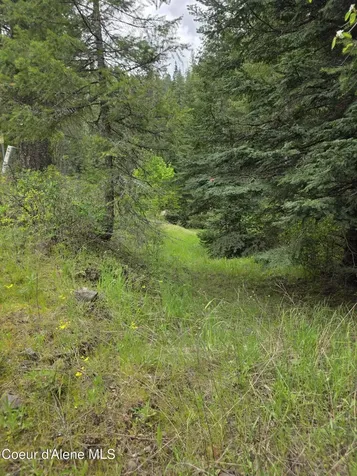 727 Blake Creek Road St. Maries ID 83861