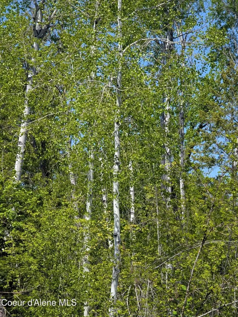 83 Catan Lane Bonners Ferry ID 83805