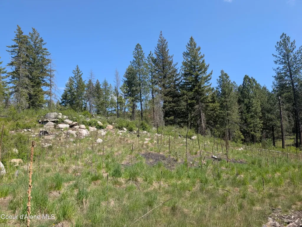 83 Catan Lane Bonners Ferry ID 83805