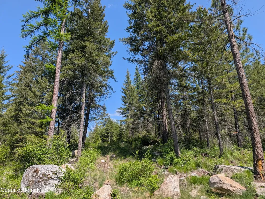 83 Catan Lane Bonners Ferry ID 83805