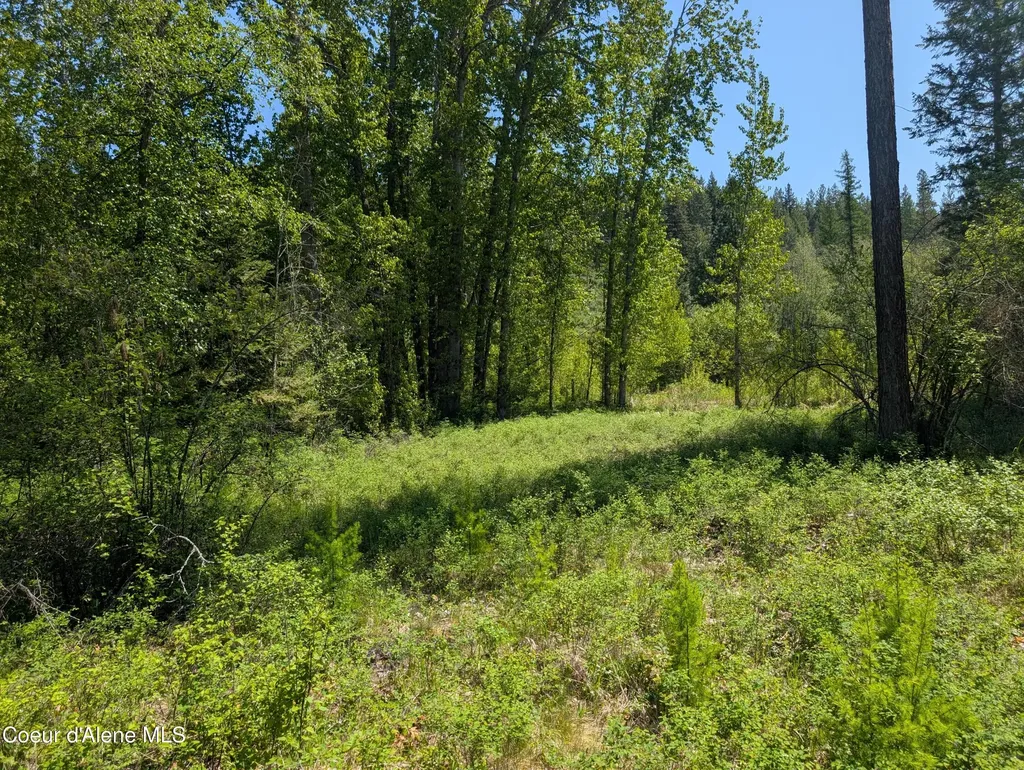 83 Catan Lane Bonners Ferry ID 83805