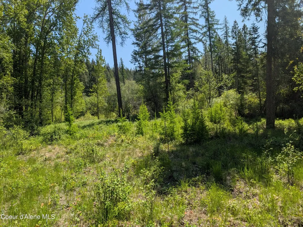 83 Catan Lane Bonners Ferry ID 83805