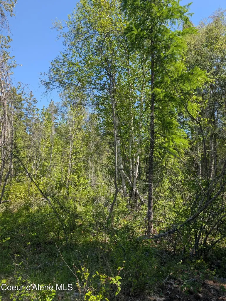 83 Catan Lane Bonners Ferry ID 83805