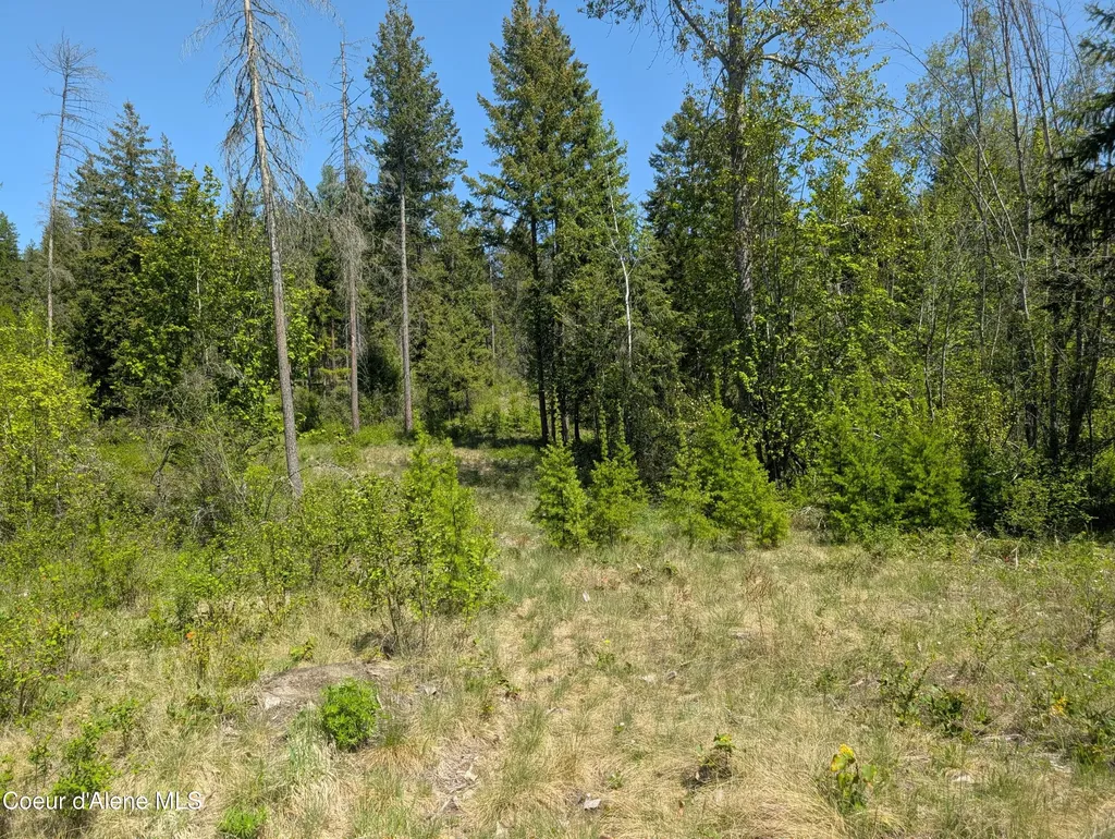 83 Catan Lane Bonners Ferry ID 83805