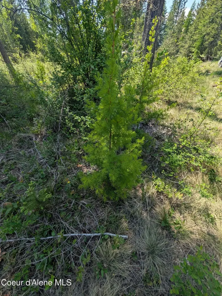 83 Catan Lane Bonners Ferry ID 83805