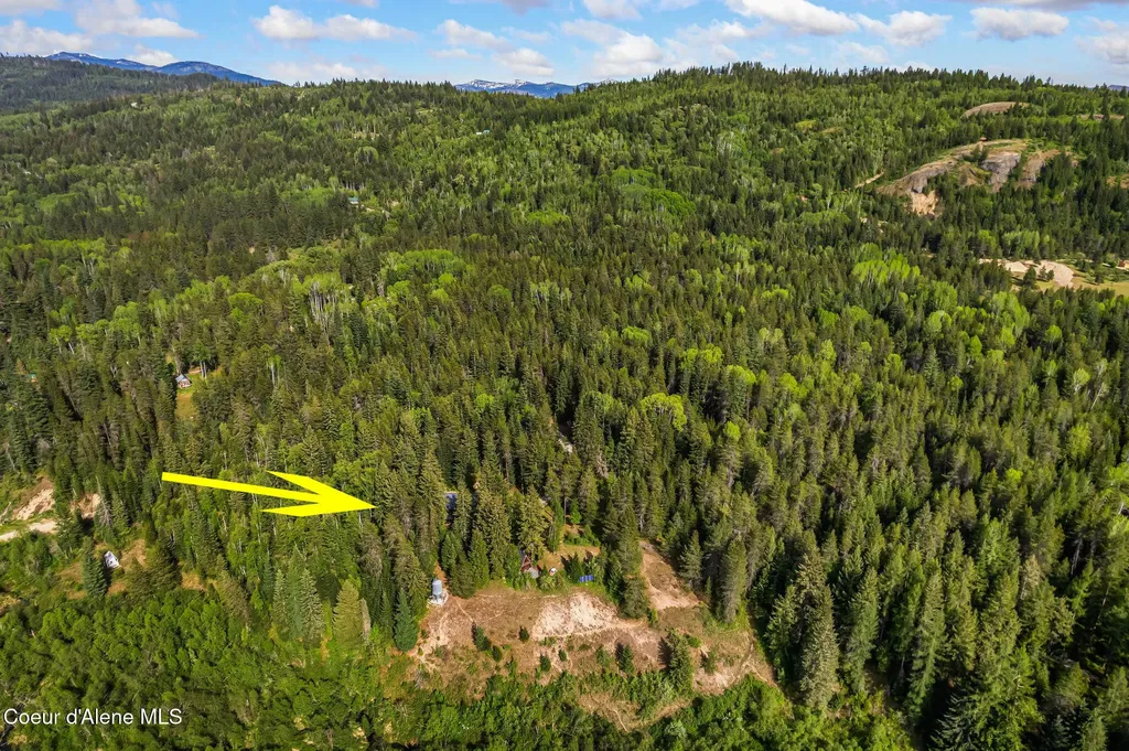 45 Rascals Road Sandpoint ID 83864