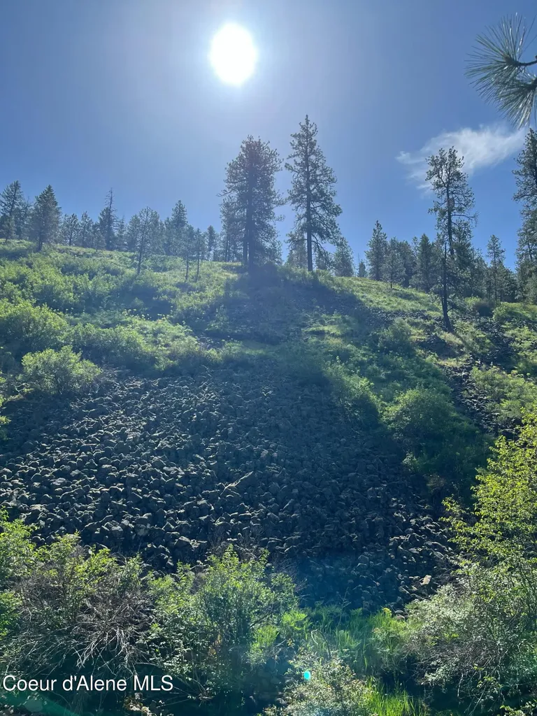 4870 Benewah Creek Road St. Maries ID 83861