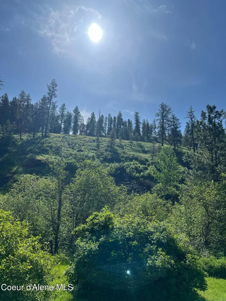 4870 Benewah Creek Road St. Maries ID 83861