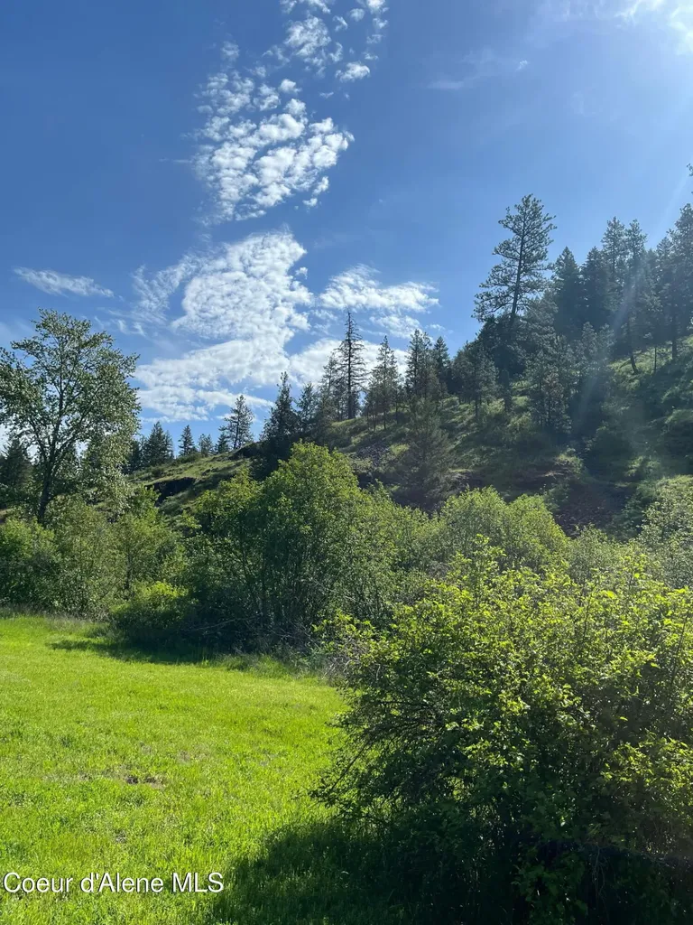 4870 Benewah Creek Road St. Maries ID 83861