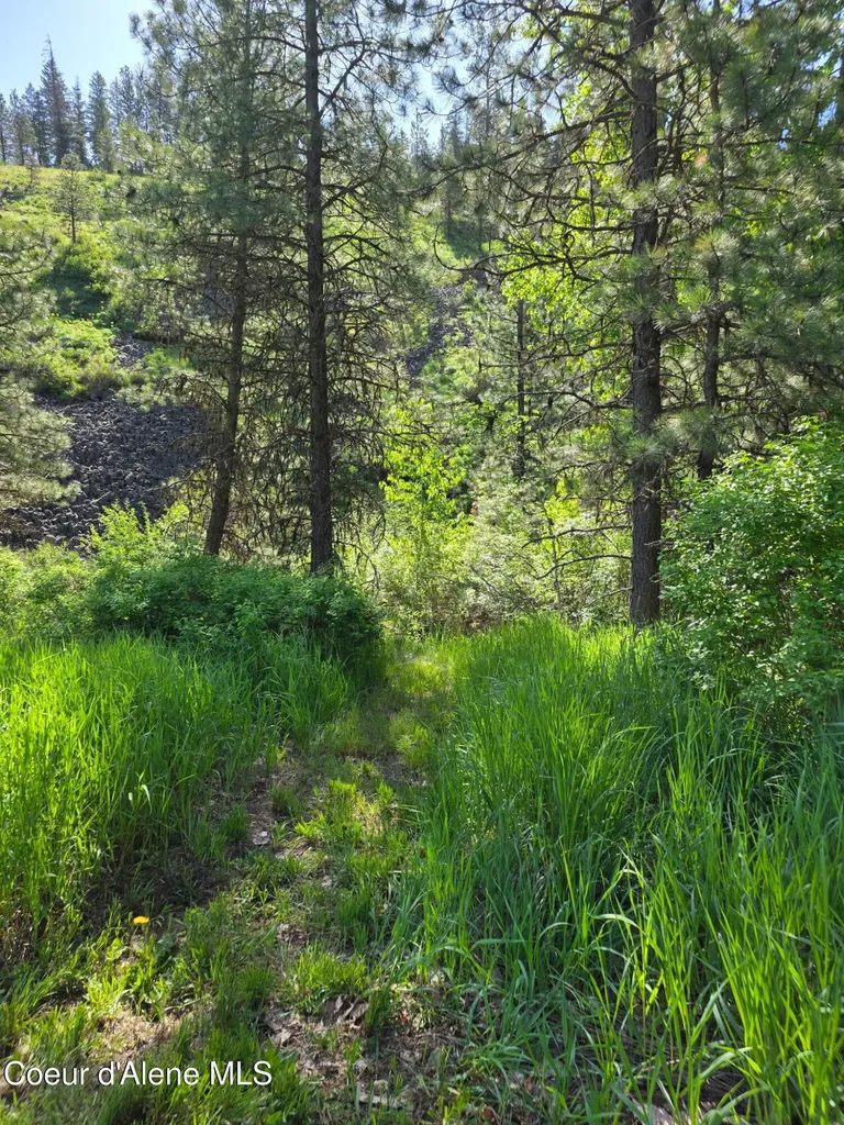 4870 Benewah Creek Road St. Maries ID 83861
