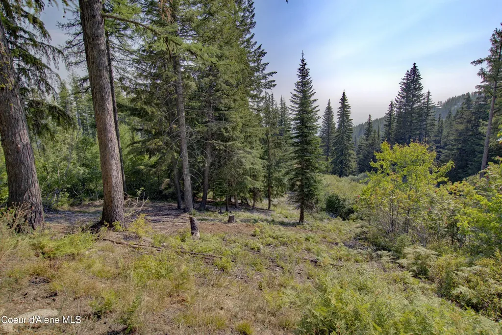 BLK4 Lot4 Ullr Drive Sandpoint ID 83864