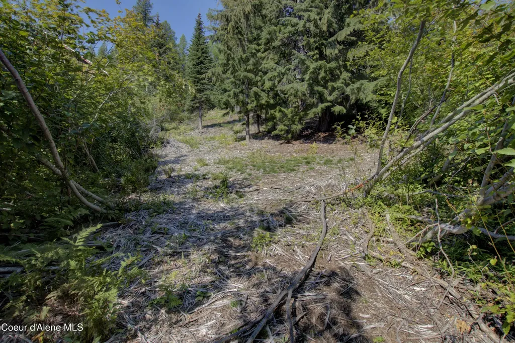 BLK4 Lot4 Ullr Drive Sandpoint ID 83864