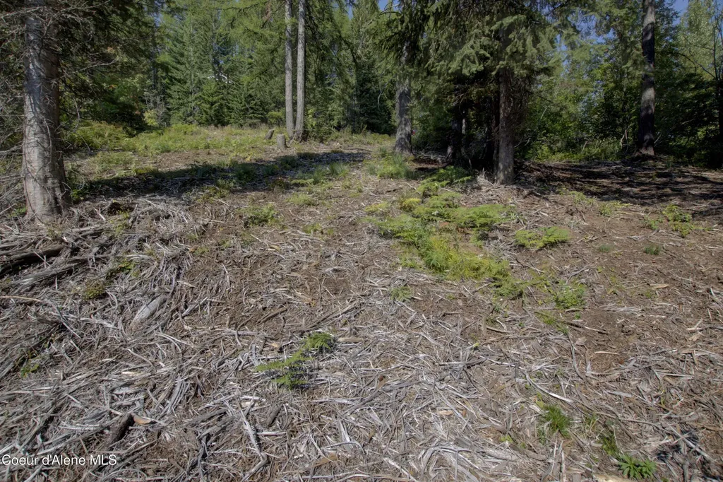 BLK4 Lot4 Ullr Drive Sandpoint ID 83864