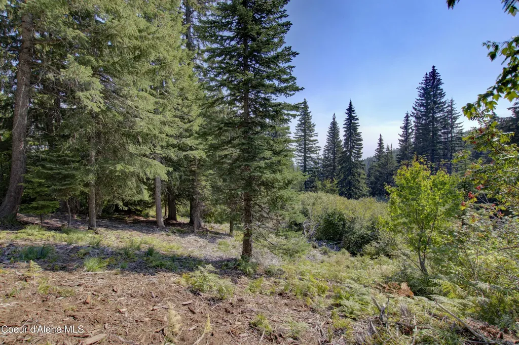 BLK4 Lot4 Ullr Drive Sandpoint ID 83864