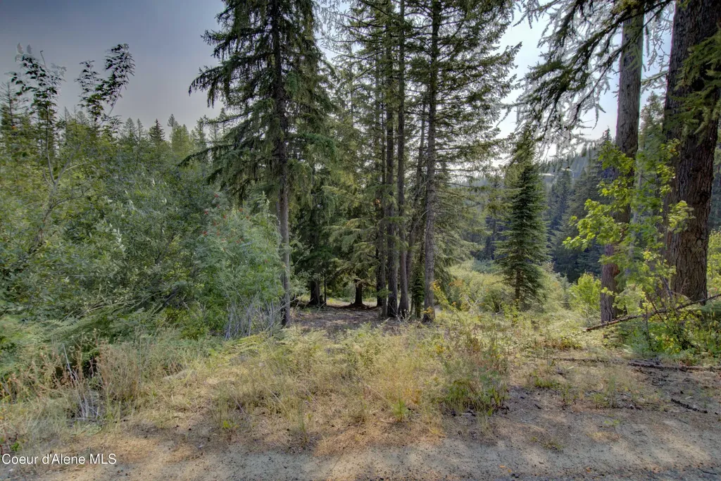 BLK4 Lot4 Ullr Drive Sandpoint ID 83864